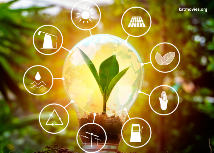 Sustainable Practices for Business Efficiency